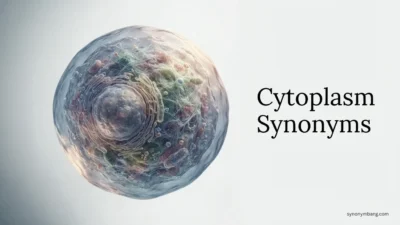 Cytoplasm Synonyms