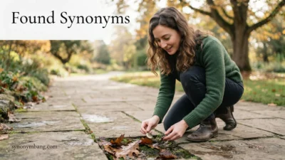 Found synonyms