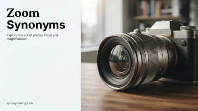 Zoom Synonyms